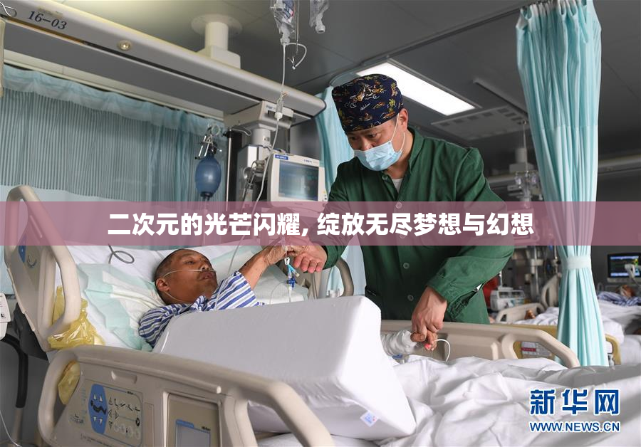二次元的光芒闪耀, 绽放无尽梦想与幻想