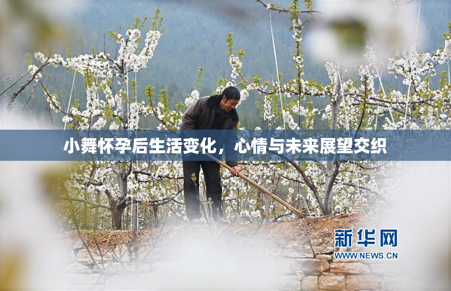 小舞怀孕后生活变化，心情与未来展望交织