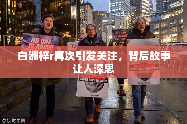 白洲梓r再次引发关注，背后故事让人深思