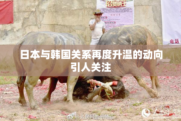 日本与韩国关系再度升温的动向引人关注