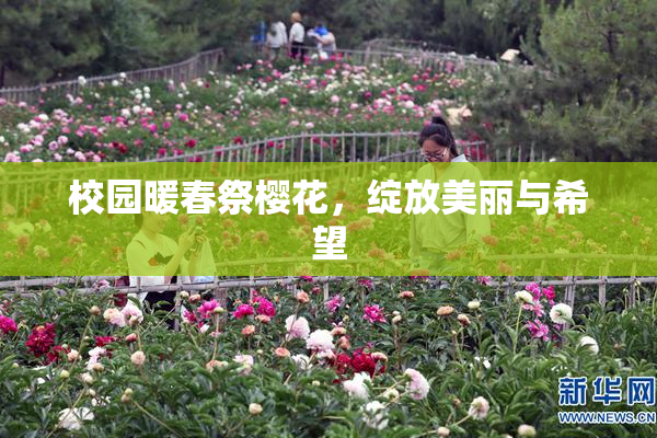 校园暖春祭樱花，绽放美丽与希望