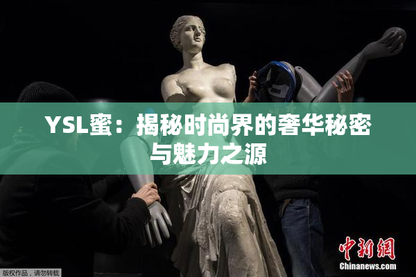 YSL蜜：揭秘时尚界的奢华秘密与魅力之源