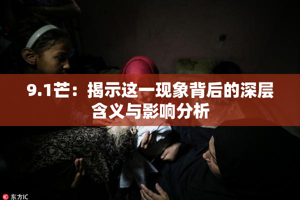 9.1芒：揭示这一现象背后的深层含义与影响分析