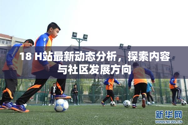 18 H站最新动态分析，探索内容与社区发展方向