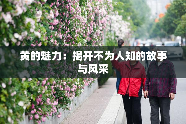 黄的魅力：揭开不为人知的故事与风采