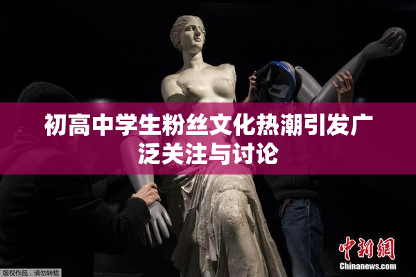 初高中学生粉丝文化热潮引发广泛关注与讨论