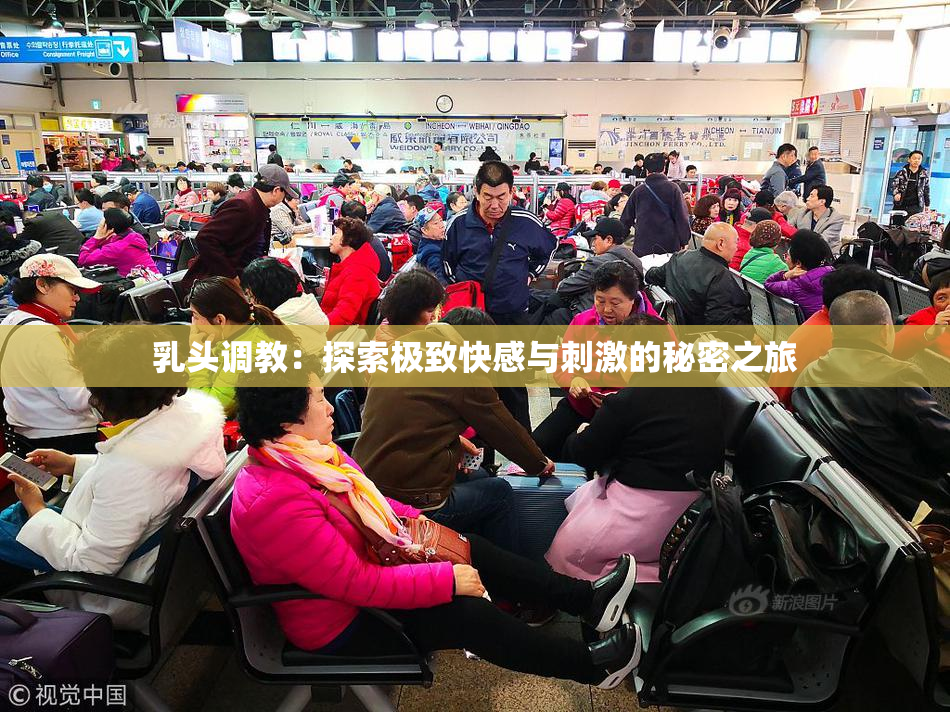 乳头调教：探索极致快感与刺激的秘密之旅