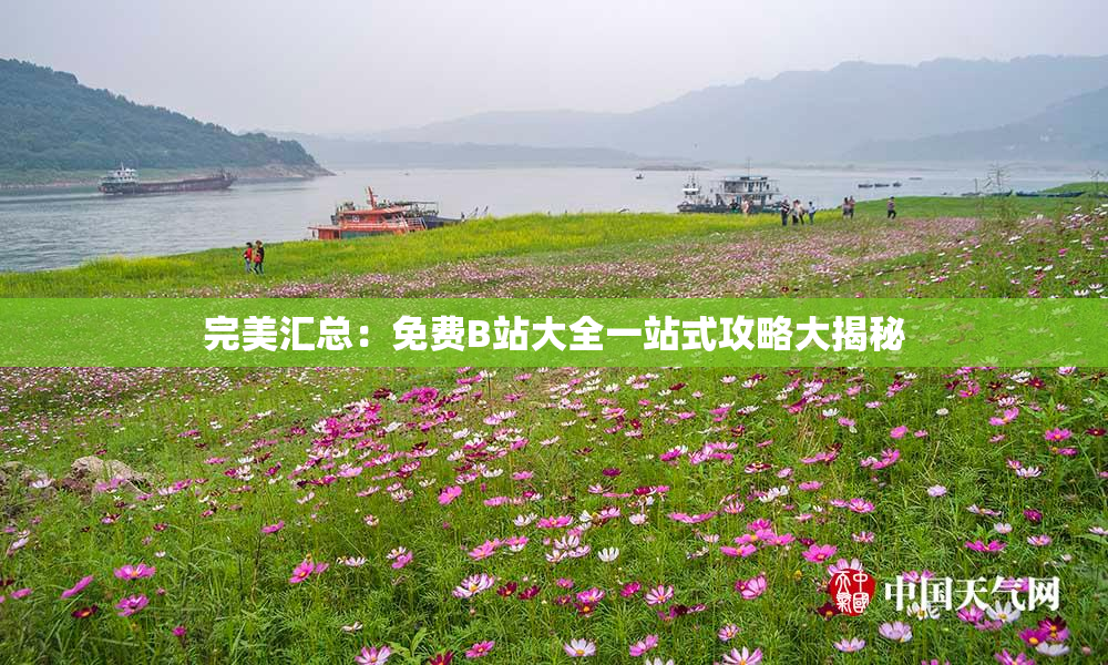 完美汇总：免费B站大全一站式攻略大揭秘