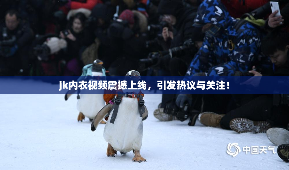 jk内衣视频震撼上线，引发热议与关注！