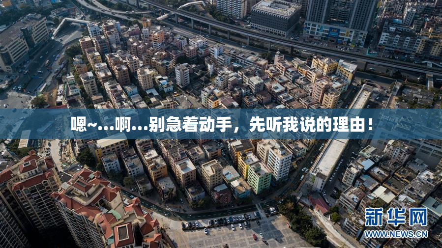 嗯~…啊…别急着动手，先听我说的理由！