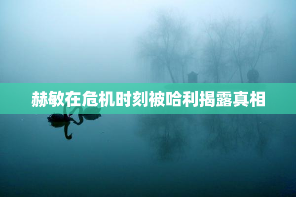 赫敏在危机时刻被哈利揭露真相