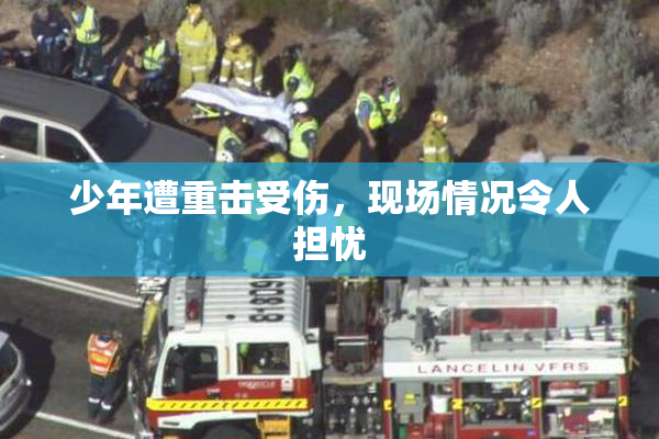少年遭重击受伤，现场情况令人担忧