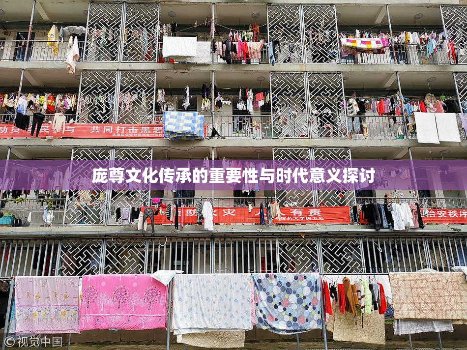 庞尊文化传承的重要性与时代意义探讨