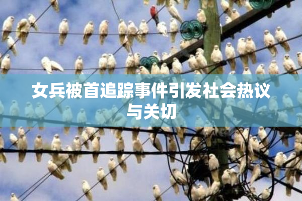 女兵被首追踪事件引发社会热议与关切