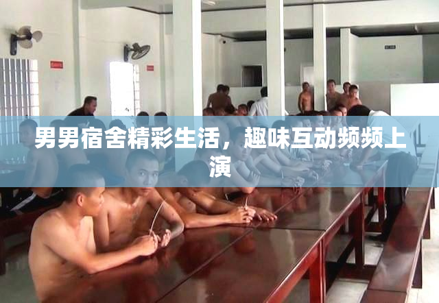 男男宿舍精彩生活，趣味互动频频上演