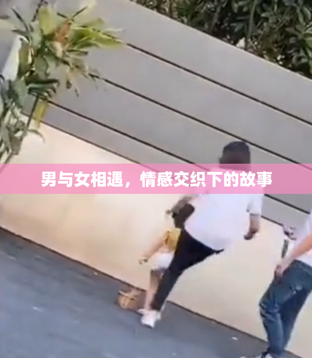 男与女相遇，情感交织下的故事