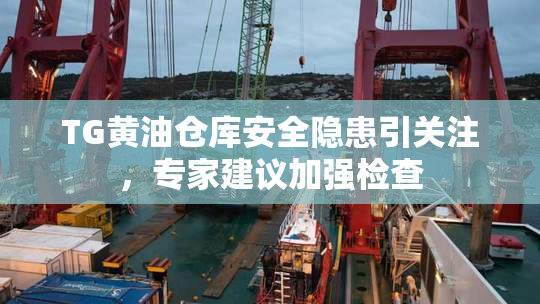 TG黄油仓库安全隐患引关注，专家建议加强检查