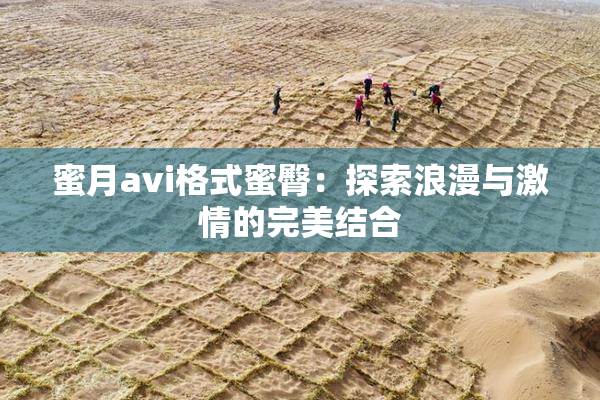 蜜月avi格式蜜臀：探索浪漫与激情的完美结合