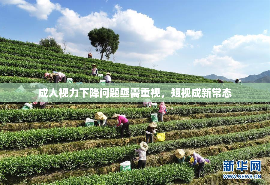 成人视力下降问题亟需重视，短视成新常态