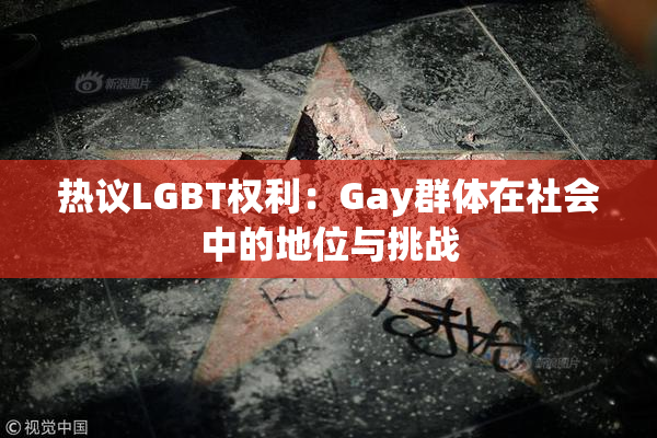 热议LGBT权利：Gay群体在社会中的地位与挑战