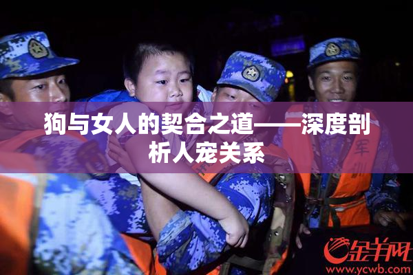 狗与女人的契合之道——深度剖析人宠关系