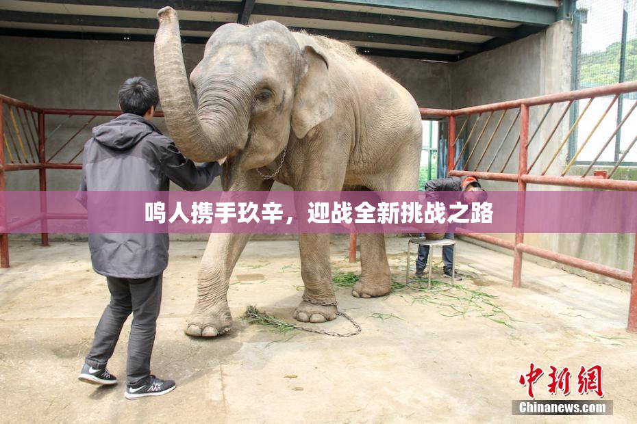 鸣人携手玖辛，迎战全新挑战之路