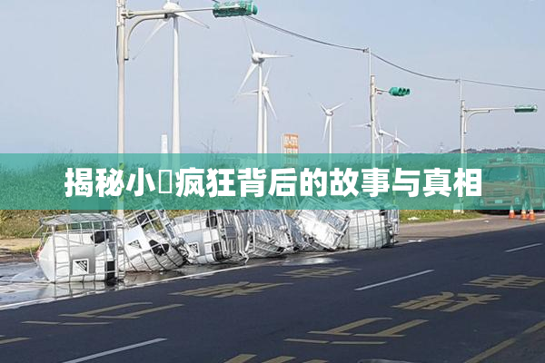 揭秘小泬疯狂背后的故事与真相