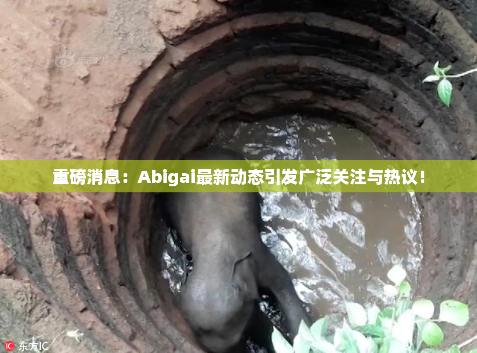 重磅消息：Abigai最新动态引发广泛关注与热议！