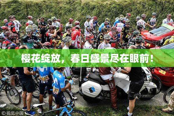 樱花绽放，春日盛景尽在眼前！