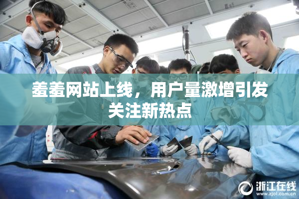 羞羞网站上线，用户量激增引发关注新热点