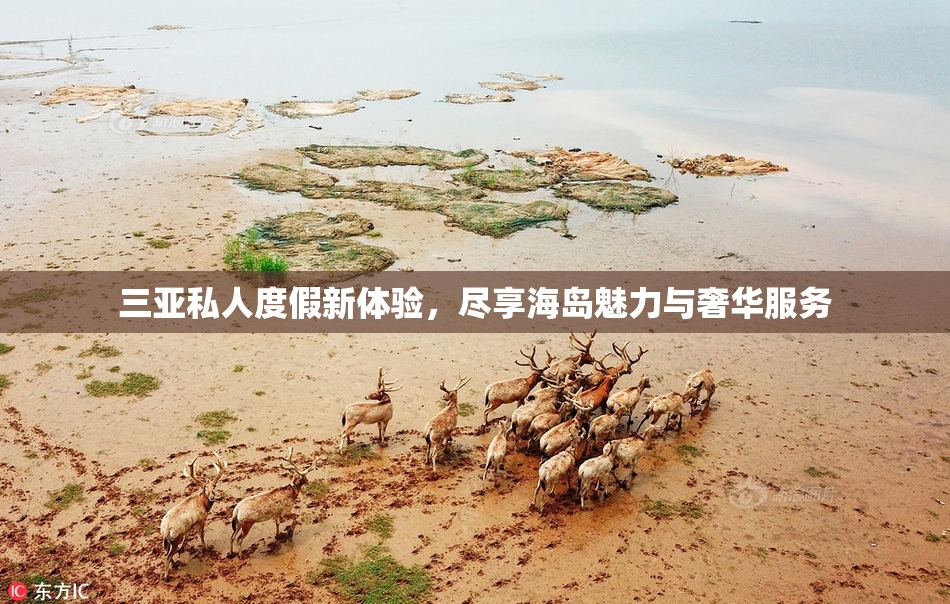 三亚私人度假新体验，尽享海岛魅力与奢华服务