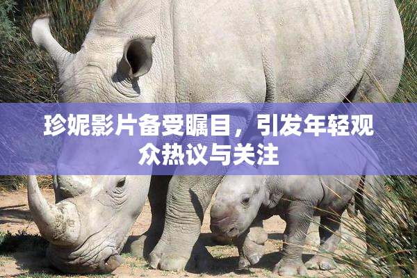 珍妮影片备受瞩目，引发年轻观众热议与关注
