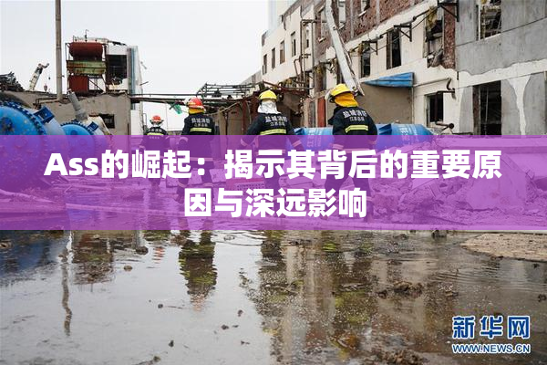 Ass的崛起：揭示其背后的重要原因与深远影响