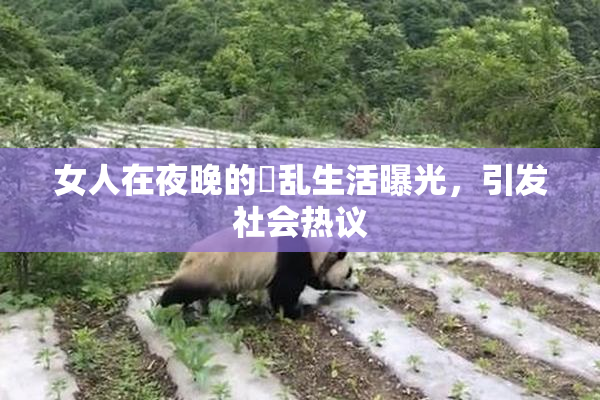 女人在夜晚的婬乱生活曝光，引发社会热议
