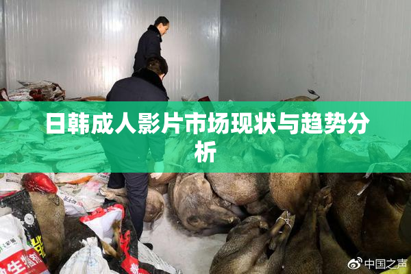日韩成人影片市场现状与趋势分析