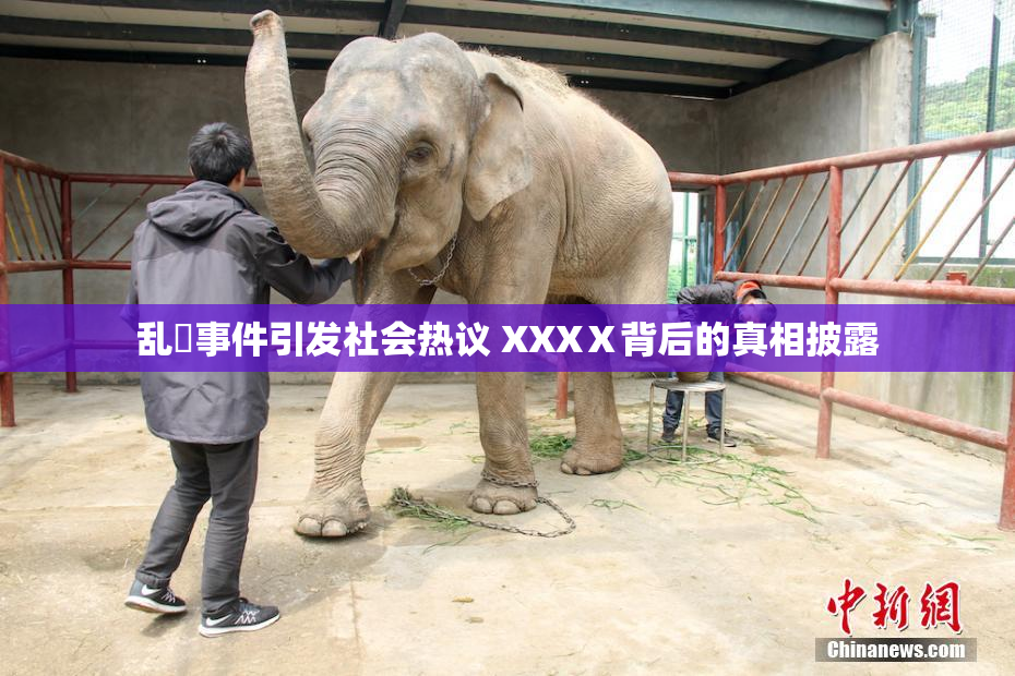 乱婬事件引发社会热议 XXXⅩ背后的真相披露