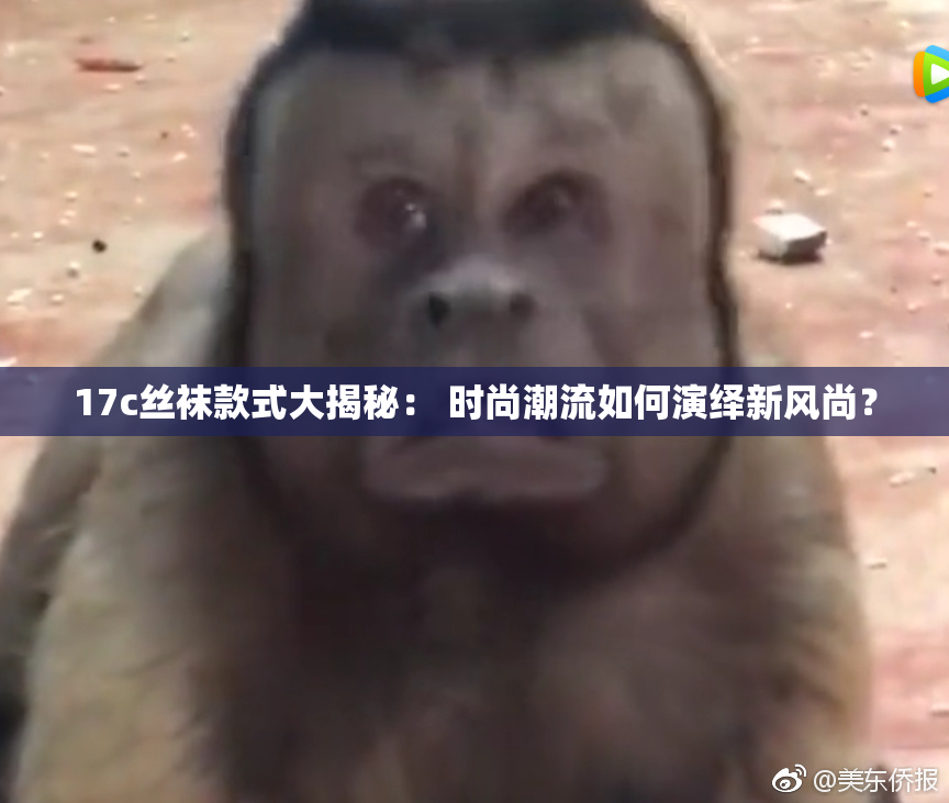 17c丝袜款式大揭秘： 时尚潮流如何演绎新风尚？
