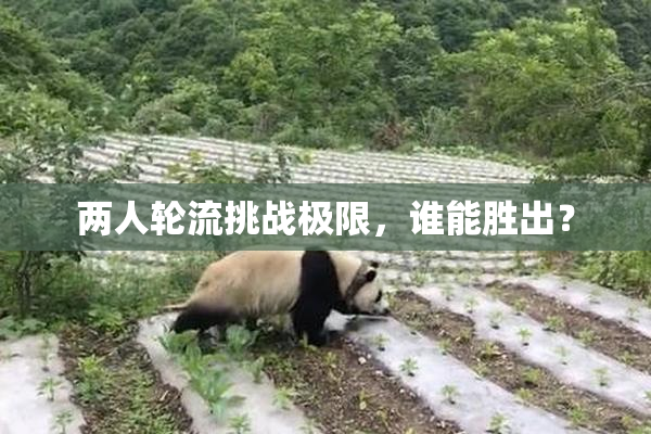两人轮流挑战极限，谁能胜出？
