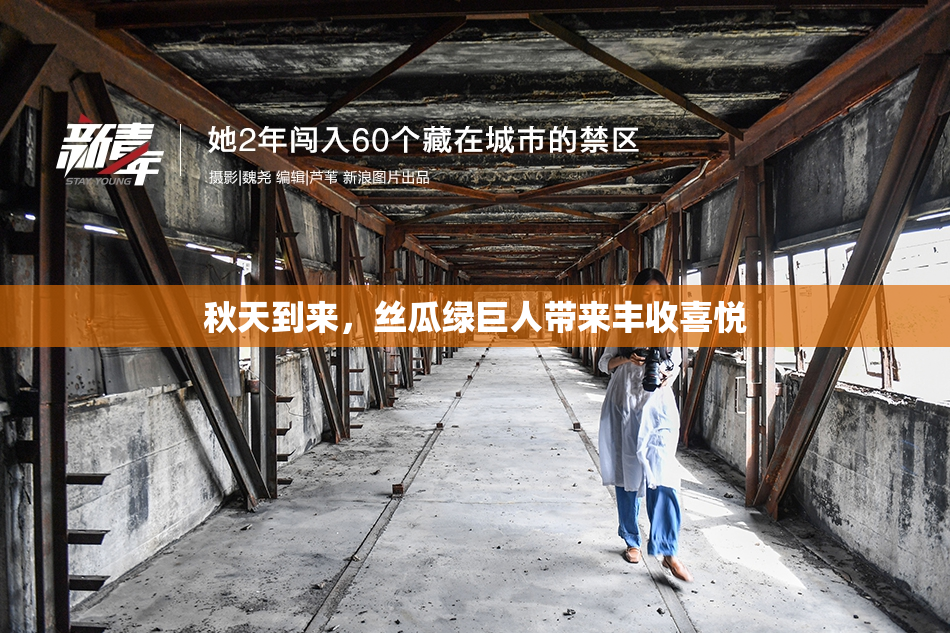 秋天到来，丝瓜绿巨人带来丰收喜悦