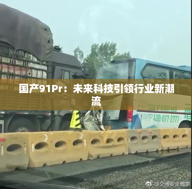 国产91Pr：未来科技引领行业新潮流