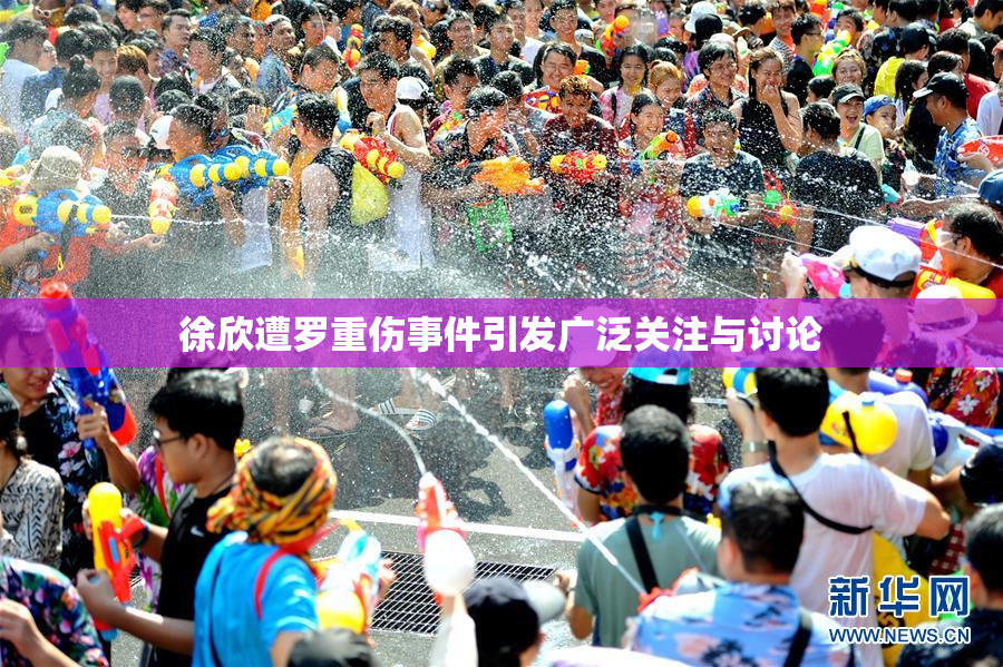 徐欣遭罗重伤事件引发广泛关注与讨论
