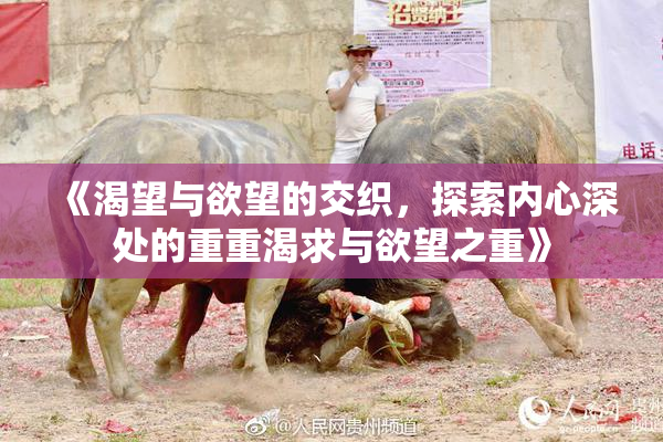 《渴望与欲望的交织，探索内心深处的重重渴求与欲望之重》