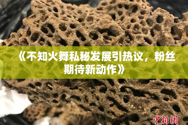 《不知火舞私秘发展引热议，粉丝期待新动作》