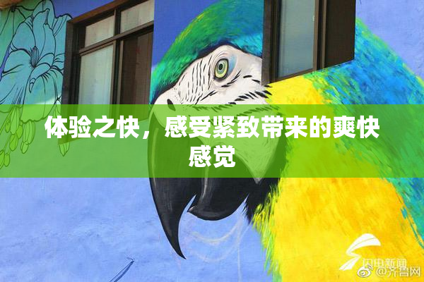 体验之快，感受紧致带来的爽快感觉