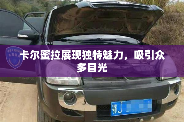 卡尔蜜拉展现独特魅力，吸引众多目光