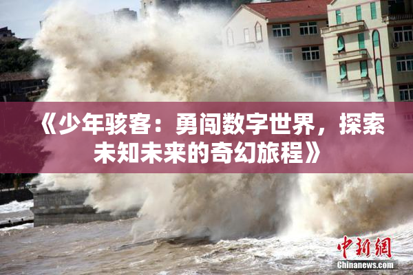《少年骇客：勇闯数字世界，探索未知未来的奇幻旅程》