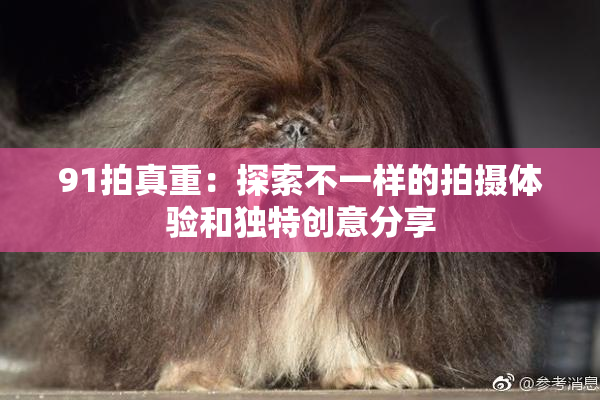 91拍真重：探索不一样的拍摄体验和独特创意分享