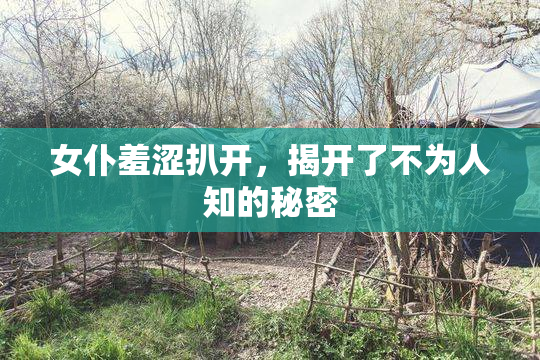 女仆羞涩扒开，揭开了不为人知的秘密