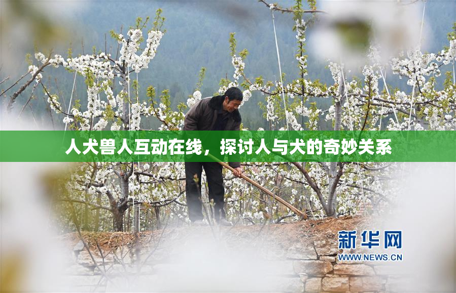 人犬兽人互动在线，探讨人与犬的奇妙关系