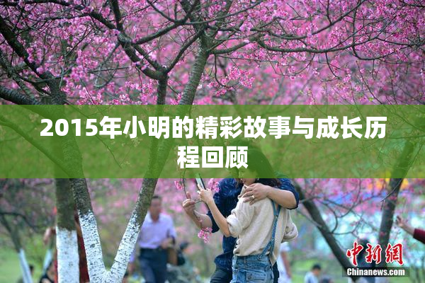 2015年小明的精彩故事与成长历程回顾